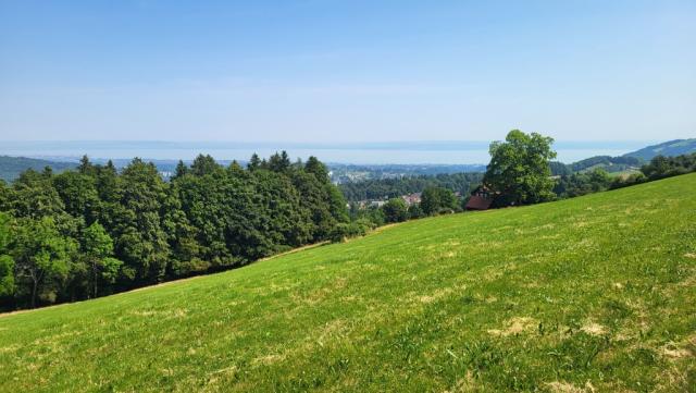 ...und zum Bodensee, den wir schon komplett umrundet haben