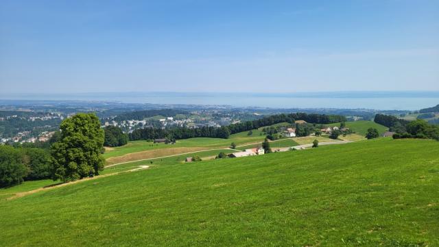 wir treten aus dem Wald heraus und bestaunen die sehr schöne Aussicht auf den Bodensee