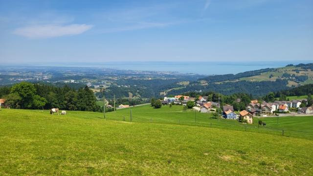 zum letzten mal geniessen wir die traumhafte Aussicht auf den Bodensee