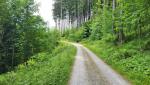 weiter geht es danach durch den Wald bei Suruggen. Der Wanderwegweg führt uns danach...