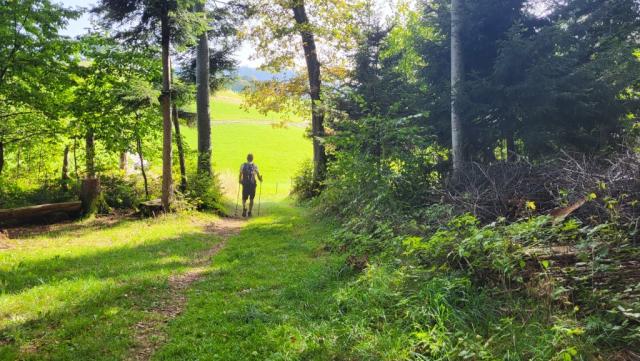 auf dem Weg Richtung Chrüzbüel