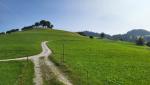 ...und Weiden wechseln sich dabei bis zum Guggershorn ab