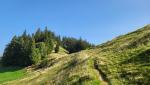 wir erreichen den Sattel der Schwendelberg mit dem Guggershorn verbindet