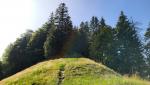 wir biegen rechts ab, und in den Wald hinein