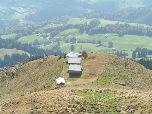 Alphütten auf Frumaschan