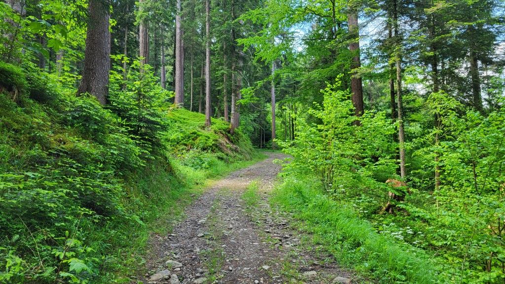 abwechselnd über Felder, durch idyllisch gelegene Weiler wie Aegerten, erreichen wir über Büelehubel den Ägertewald