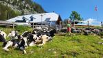 ...bis wir die Alphütte Steinige Rippa erreichen