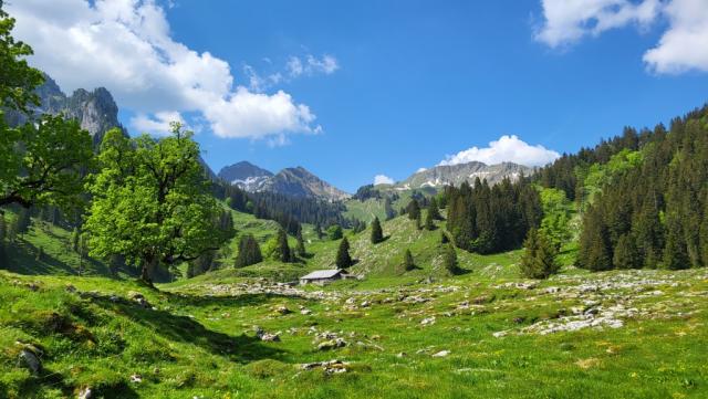 ...ein von Gletschern geformtes Alpental