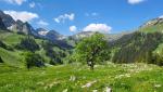 das Tal, das von der Pointe de Balachaux im Westen, dem Schopfenspitz im Süden und dem Chörblispitz...