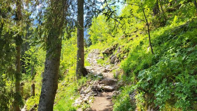 wir umrunden die Spitzflue