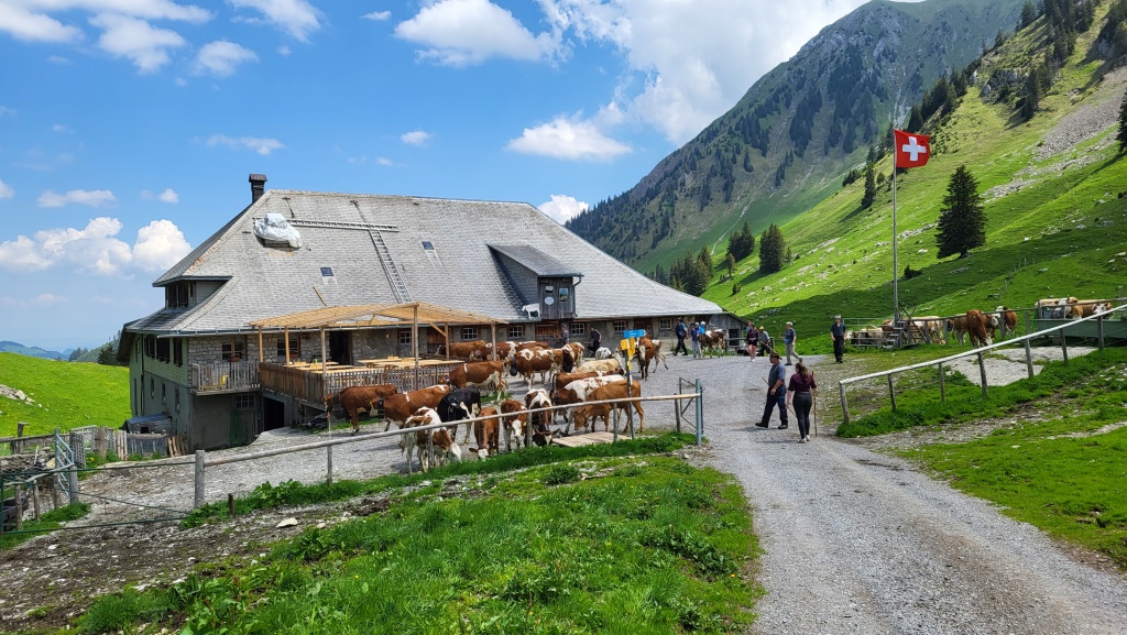 bei den Alphütten von Obere Euschels