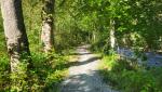 der schöne Wanderweg führt uns weiterhin am Jaunbach entlang