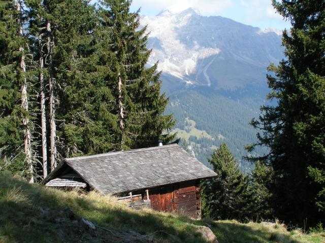 Waldhütte