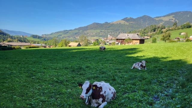 wir erreichen das Val de Charmey