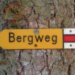 Wegweiser