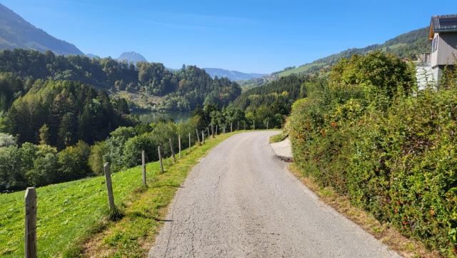 auf dem Weg abwärts zum Lac de Montsalvens