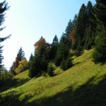 über Wald und Wiesen, geht's runter nach Seewis