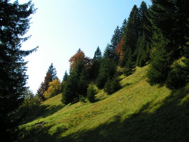 über Wald und Wiesen, geht's runter nach Seewis