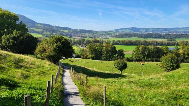 nach einer Pause begleitet von zwei Gläser Weisswein, verlassen wir Gruyères und laufen zum Bahnhof