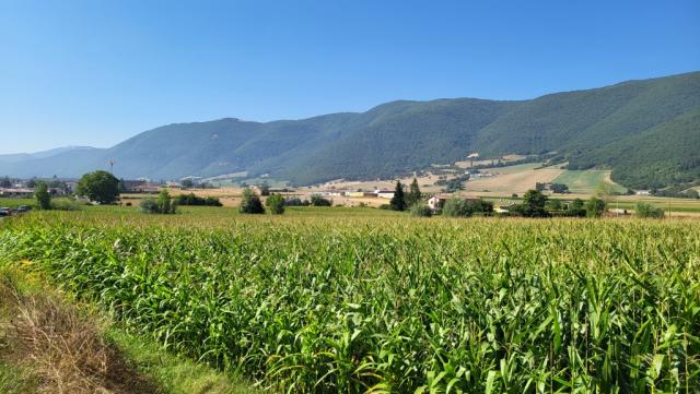 schon bald liegt Norcia (die Siedlung reicht bis ins 3. Jhr. zurück) hinter uns
