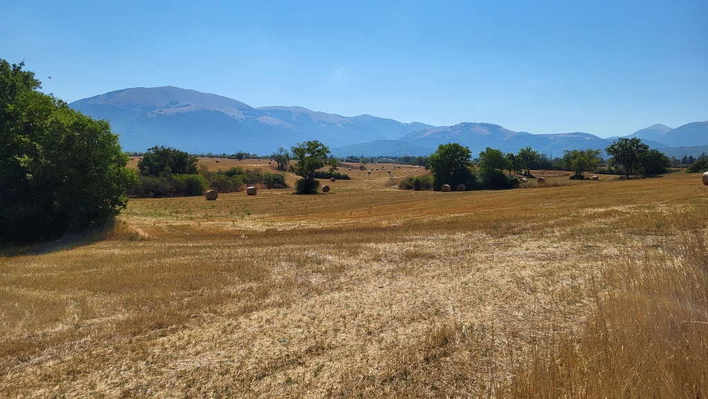 die Gegend ist bekannt wegen des Linsen. Im Frühling blühen die Linsen, ein einmaliges Naturereignis