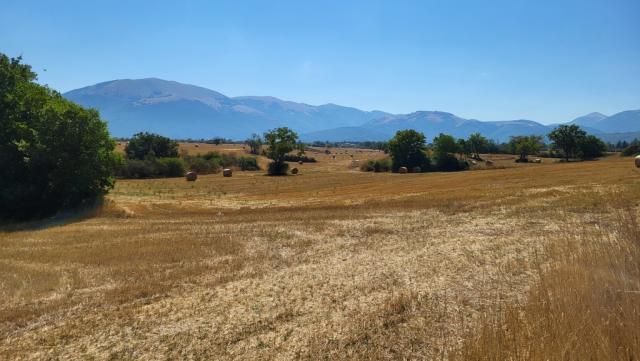 die Gegend ist bekannt wegen des Linsen. Im Frühling blühen die Linsen, ein einmaliges Naturereignis