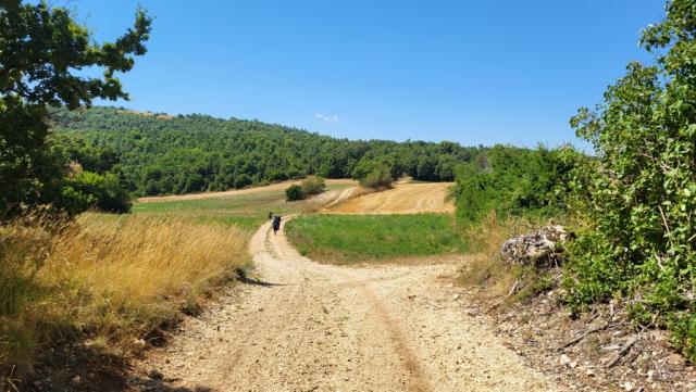 vor uns die zwei einzigen Pilger die wir auf dem ganzen Weg sehen werden. In Spanien sieht es ganz anders aus