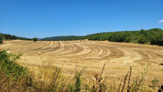 was für eine Augenweide