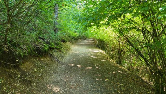 wir durchqueren bei Palmailolo einen schattenspendenden Wald