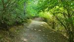 wir durchqueren bei Palmailolo einen schattenspendenden Wald