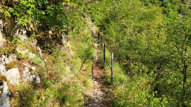 bis zu diesem Zeitpunkt,...