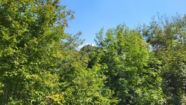 zwischen den Bäumen erkennen wir noch den Gebetsfelsen mit der Kapelle