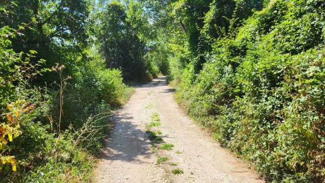 über eine Kiesstrasse geht es Richtung Capanne die Roccaporena