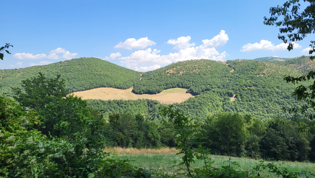 unter uns wegen dem dichten Wald nicht erkennbar, führt die Hauptstrasse nach Monteleone di Spoleto