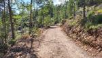 am Berghang des Monte Roccaporena entlang, wandern wir Richtung Monteleone di Spoleto