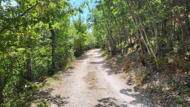 am Berghang des Monte Femasino, folgen wir nun einen reizvollen Höhenweg