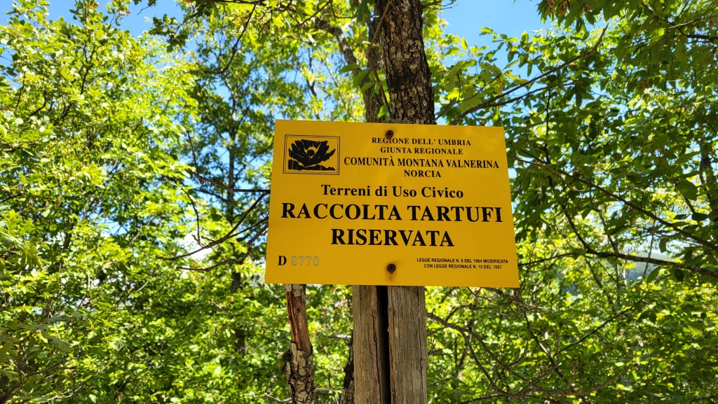 wir durchwandern Trüffelgebiet. Wir freuen uns schon auf das Nachtessen