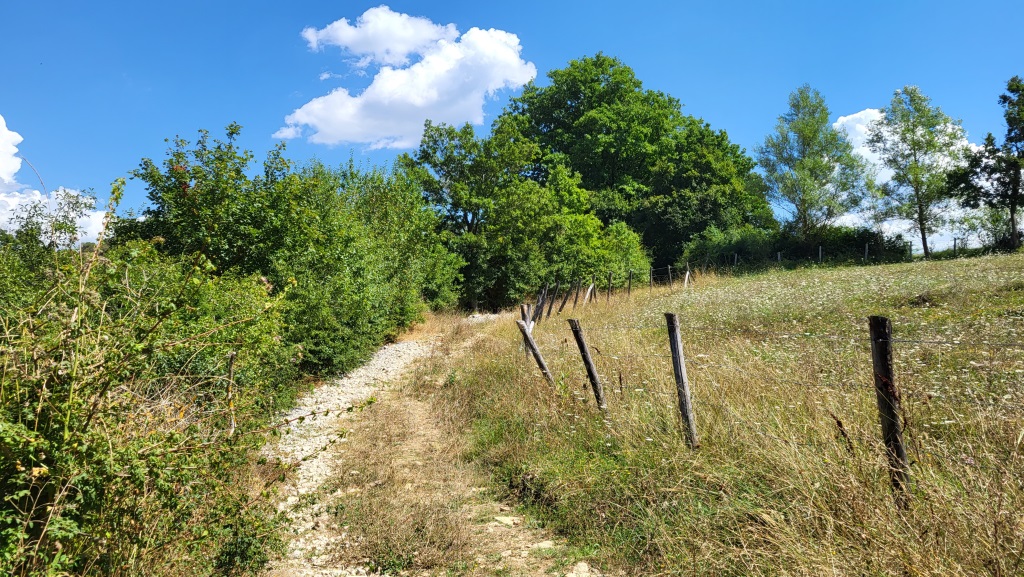 der Cammino fürt durch ländliches Gebiet von seltener Schönheit