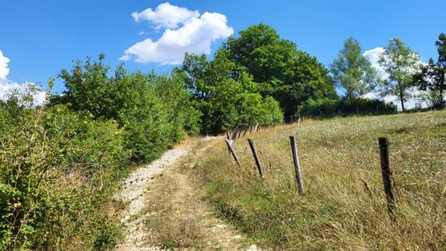 der Cammino fürt durch ländliches Gebiet von seltener Schönheit