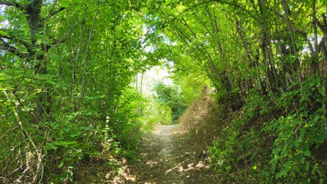 auch die zweite Etappe vom Cammino di San Benedetto ist wunderschön
