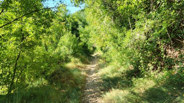 der Pfad kreuzt zweimal die in Serpentinen verlaufende Strasse