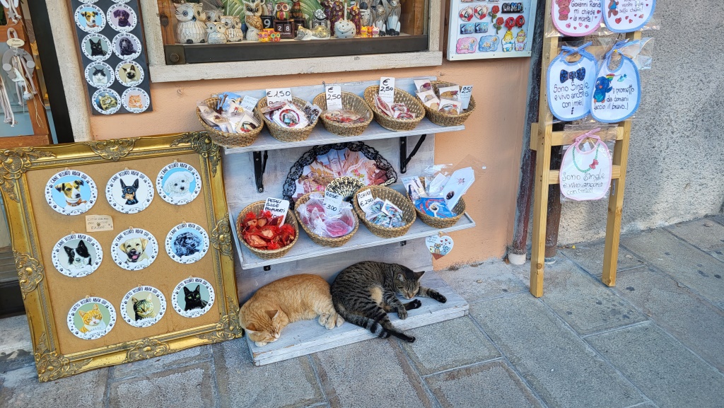 die zwei Katzen kann man nicht kaufen