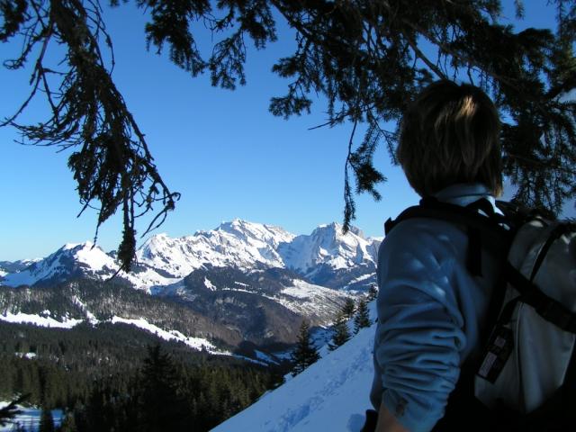 Mäusi bestaunt das Alpsteingebirge