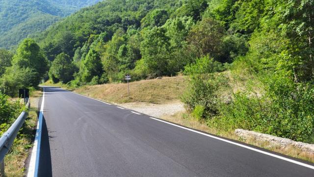 vor uns biegt eine kleine Forststrasse rechts ab