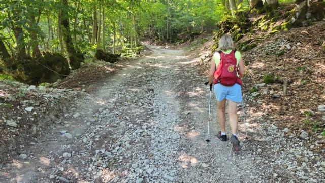 ein Schotterweg führt nun kräftig aufwärts