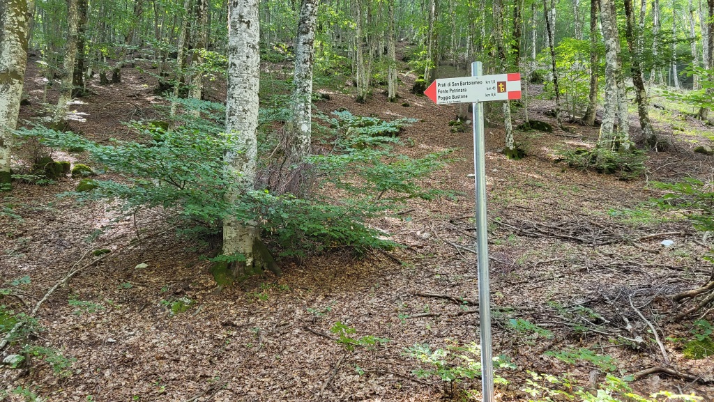 Wegweiser zeigen die Richtung an. GPS und Wanderkarten auf dem Handy geben aber einem die nötige Sicherheit