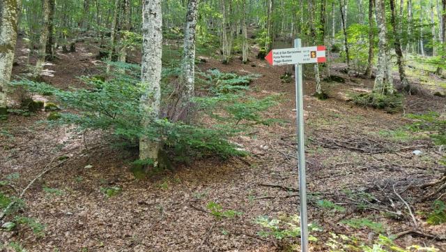 Wegweiser zeigen die Richtung an. GPS und Wanderkarten auf dem Handy geben aber einem die nötige Sicherheit