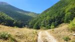 unterhalb des Monte Macchialaveta durchqueren wir eine Lichtung