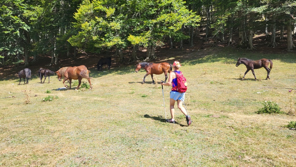 mit leichtem und frohen Schritt wandern wir weiter