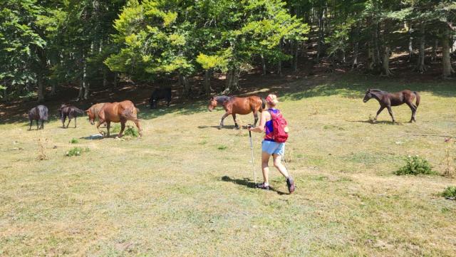 mit leichtem und frohen Schritt wandern wir weiter